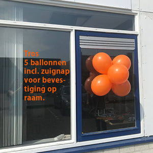 Ballontrossen Koningsdag bezorgen
